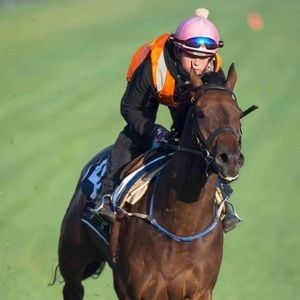 Meet your Posher, Jerry